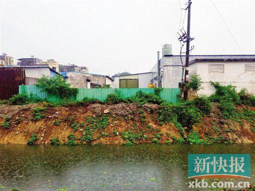 位于惠州小金口的泰亿塑料厂，就建在河涌旁，与居民区一河之隔，常遭居民投诉。