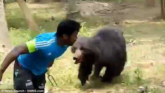 印度黑熊咬死夫妇