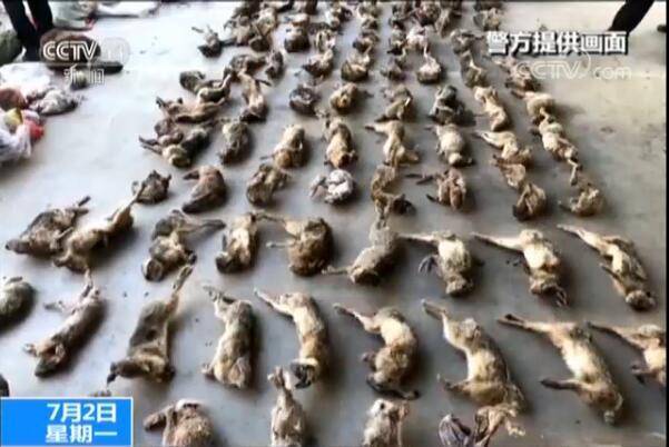 江西破获迄今最大贩卖野生动物案 多名公职人员涉案