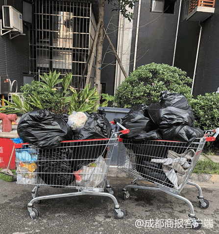 超市购物车被推走当垃圾车 超市:收回清洗后再使用