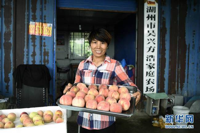 7月1日，浙江省湖州市吴兴区妙西镇方浩家庭农场的农户方琴莲在展示刚采摘的鲜桃。新华社记者 黄宗治 摄