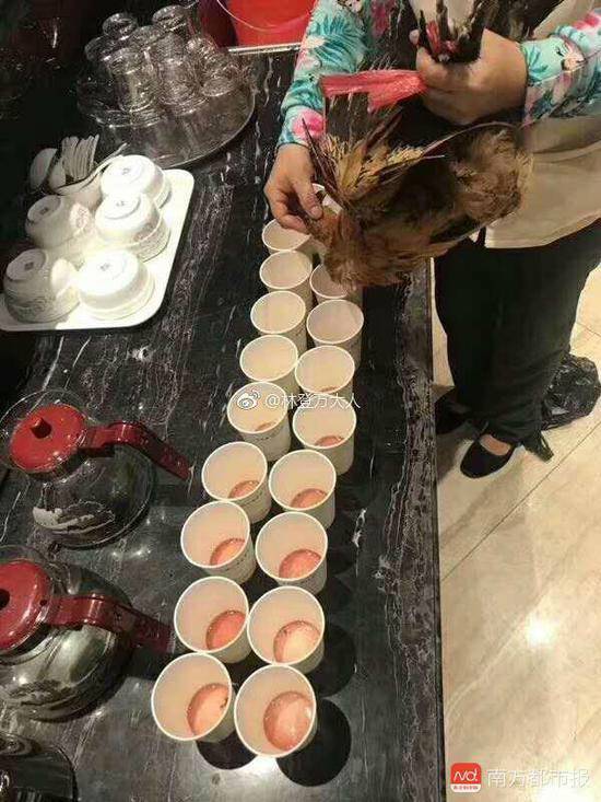 网传喝鸡血打气
