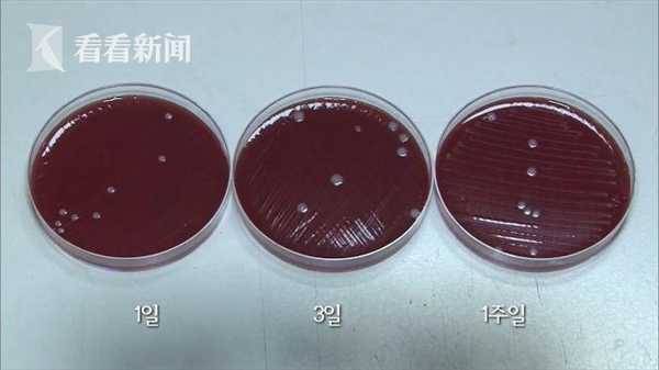 韩国主妇怕垃圾发臭竟全塞冰箱冻起来