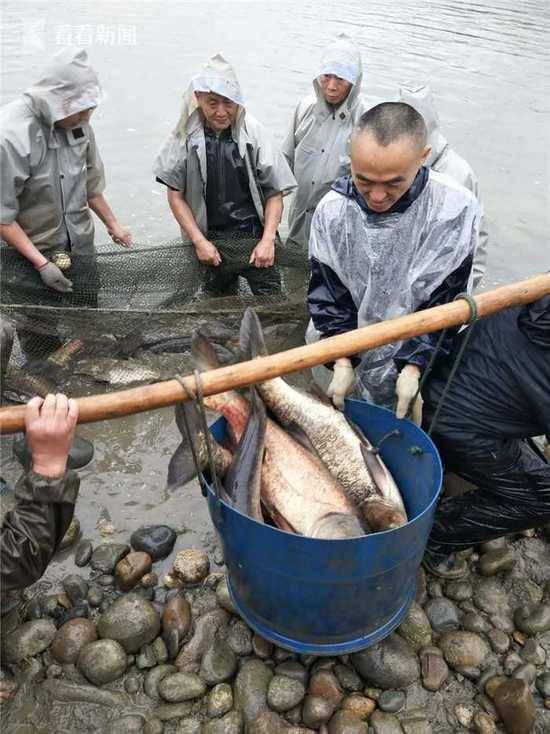 大学竟忙着在湖中捞鱼