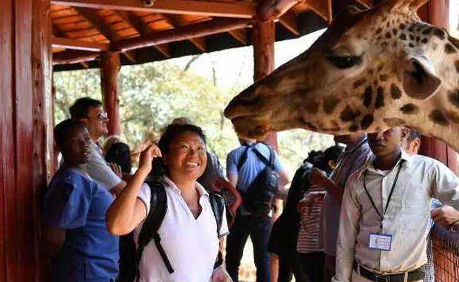 不是段子！大批中国游客为避暑“逃”到非洲