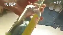 海天酱油里现大量活蛆 厂家回应：夏天就这样