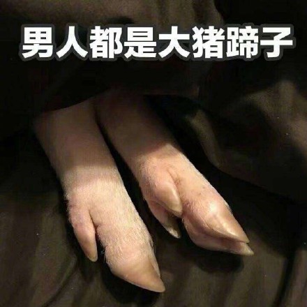 为什么说男人是大猪蹄子，这个词已经成为女性调侃吐槽男人善变的梗