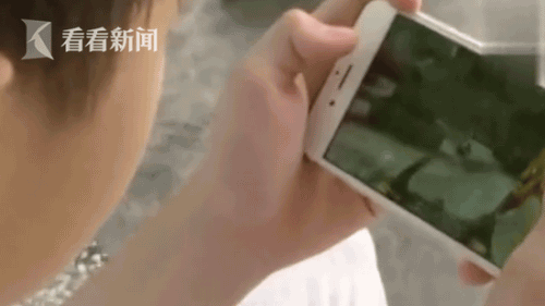 12岁男孩拿妈妈去世的钱买游戏装备
