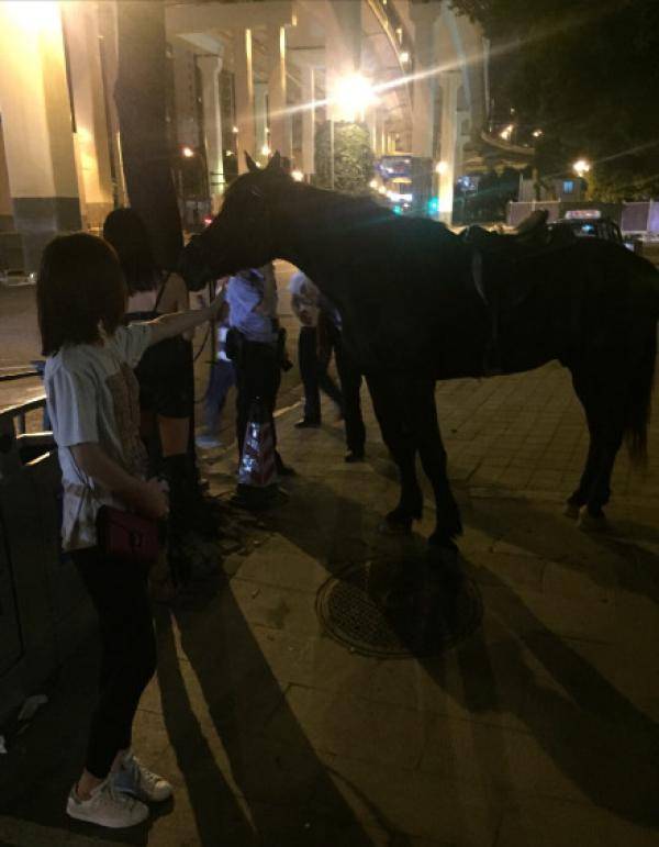 女子深夜骑马穿行市中心 称马是自己养的宠物