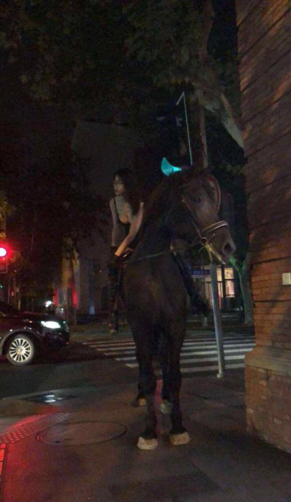 女子深夜骑马穿行市中心 称马是自己养的宠物