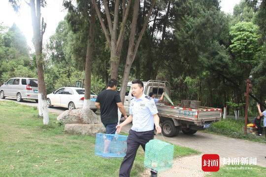 男子偷运麻雀被罚:准备用来诱捕流浪猫和家养猫