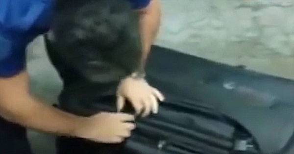一女子藏匿在巨大的黑色行李箱里企图偷渡no.1