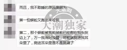 姑娘睡梦中忽然刺痛尖叫：一只10公分左右的大蜈蚣