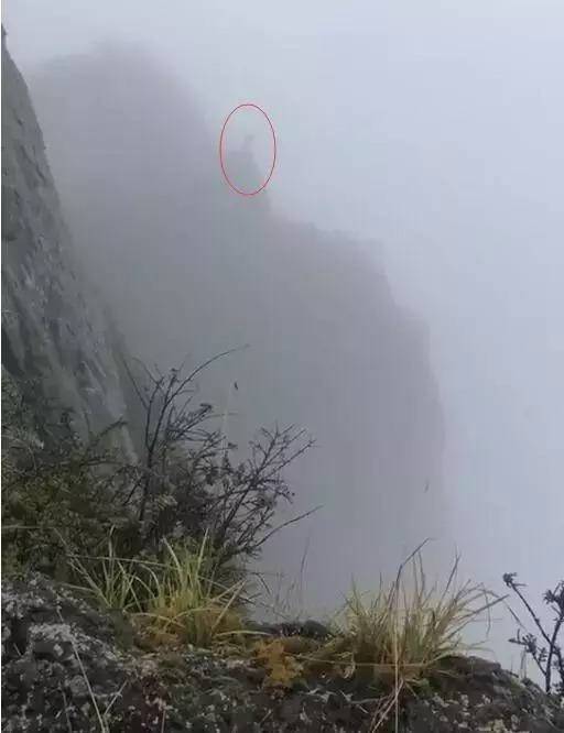 又一个男子峨眉山跳崖