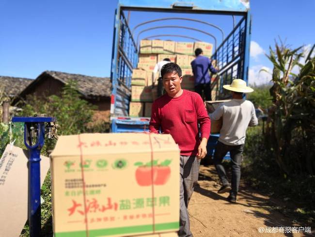 苹果滞销急哭女孩?电商悲情营销卖穷卖惨卖农货