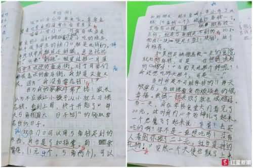 小学生作文《可怜啊》走红