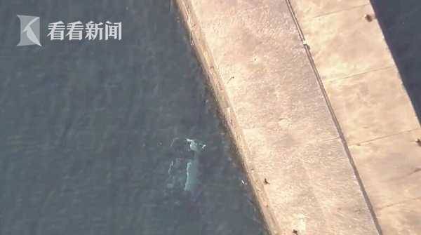 一家四口疑开车坠海自杀 10岁男孩浮出水面获救