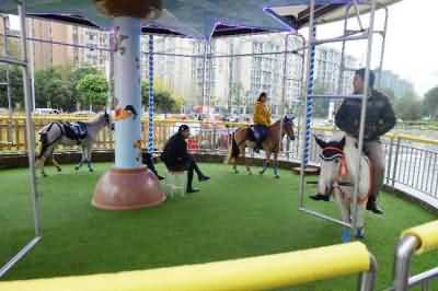 成都惊现旋转真马游戏 专业驯马师:这游戏不人道