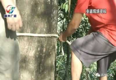 男子将刚出生的女儿装袋抛下山崖:我就是重男轻女