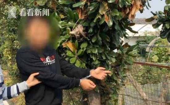 3个千万富翁钻进果园偷水果 警察:吃完了就过来偷