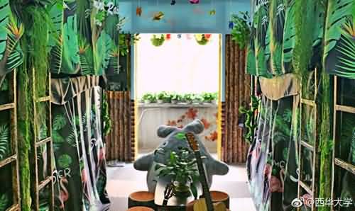 2018年机械专业的男生装扮的绿植藤蔓主题寝室