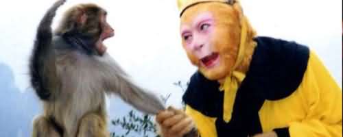 六学是什么