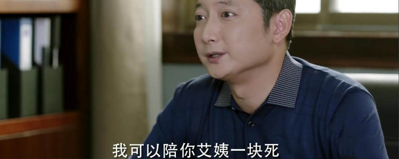 那座城这家人杨艾结局