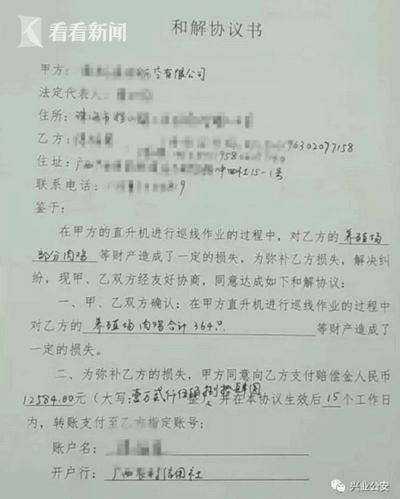 家里364只鸡被活活吓死