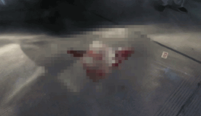 男子远赴外地与女友重逢，刚到第二天被撞身亡！女友碰巧路过…