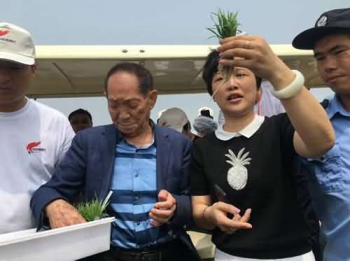 华为宣布与袁隆平合作 培养海水稻