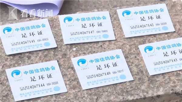 男子为报复房东偷走40只信鸽涮火锅 吃完后悔了