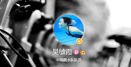 吴敏霞个人资料