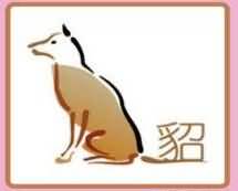 一只狗一个貂字是什么
