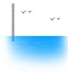 尺海大雁是什么成语