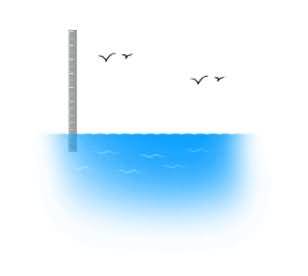 一个尺子在海里是什么