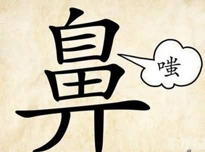 一个鼻是什么成语