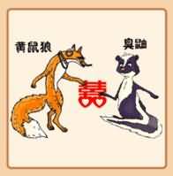黄鼠狼和臭鼬是什么成语