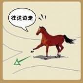 一只马两条路是什么成