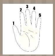 五根手指是什么成语