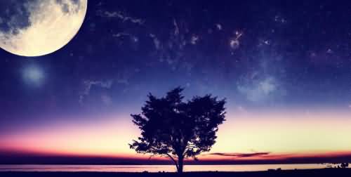 夜晚的反义词