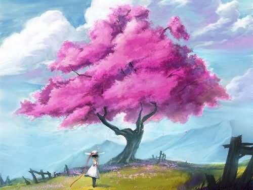 席慕蓉《一棵开花的树》经典语录