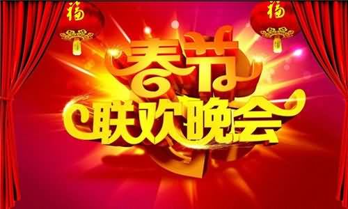 关于看春晚作文200字300字400字500字600字左右