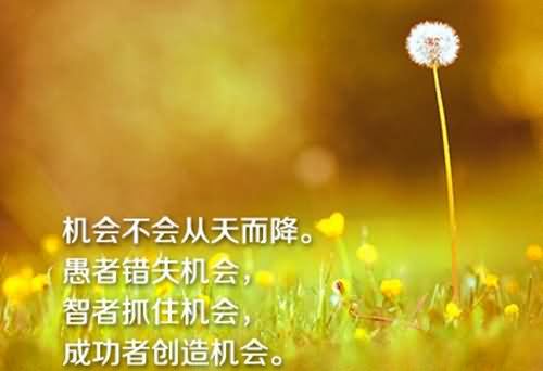 关于默默无闻作文600字精选