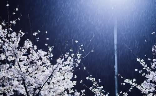 雪花日记100字