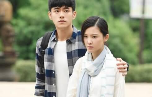 沈居安为什么恨向远