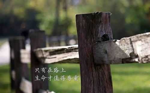 赫尔墨斯和雕像者续写100字