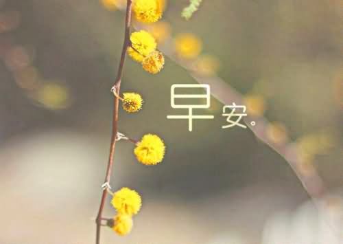 2017年岁末感言精选范文