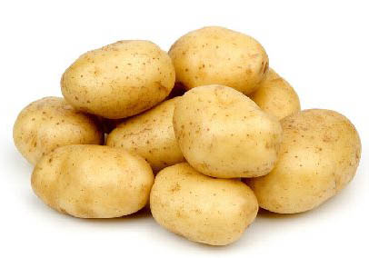 养活了世界的马铃薯土豆