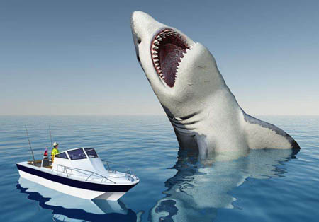 鲨鱼为什么会撞船 真相只是为了挠痒