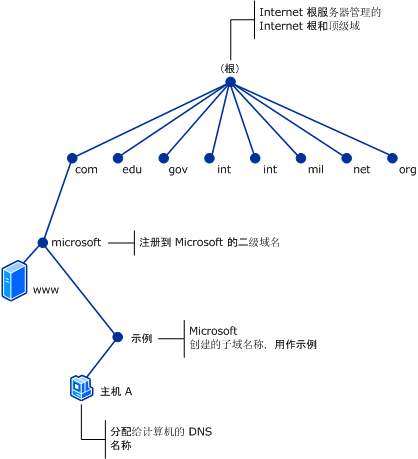 因特网中完成域名地址和ip地址转换的系统是